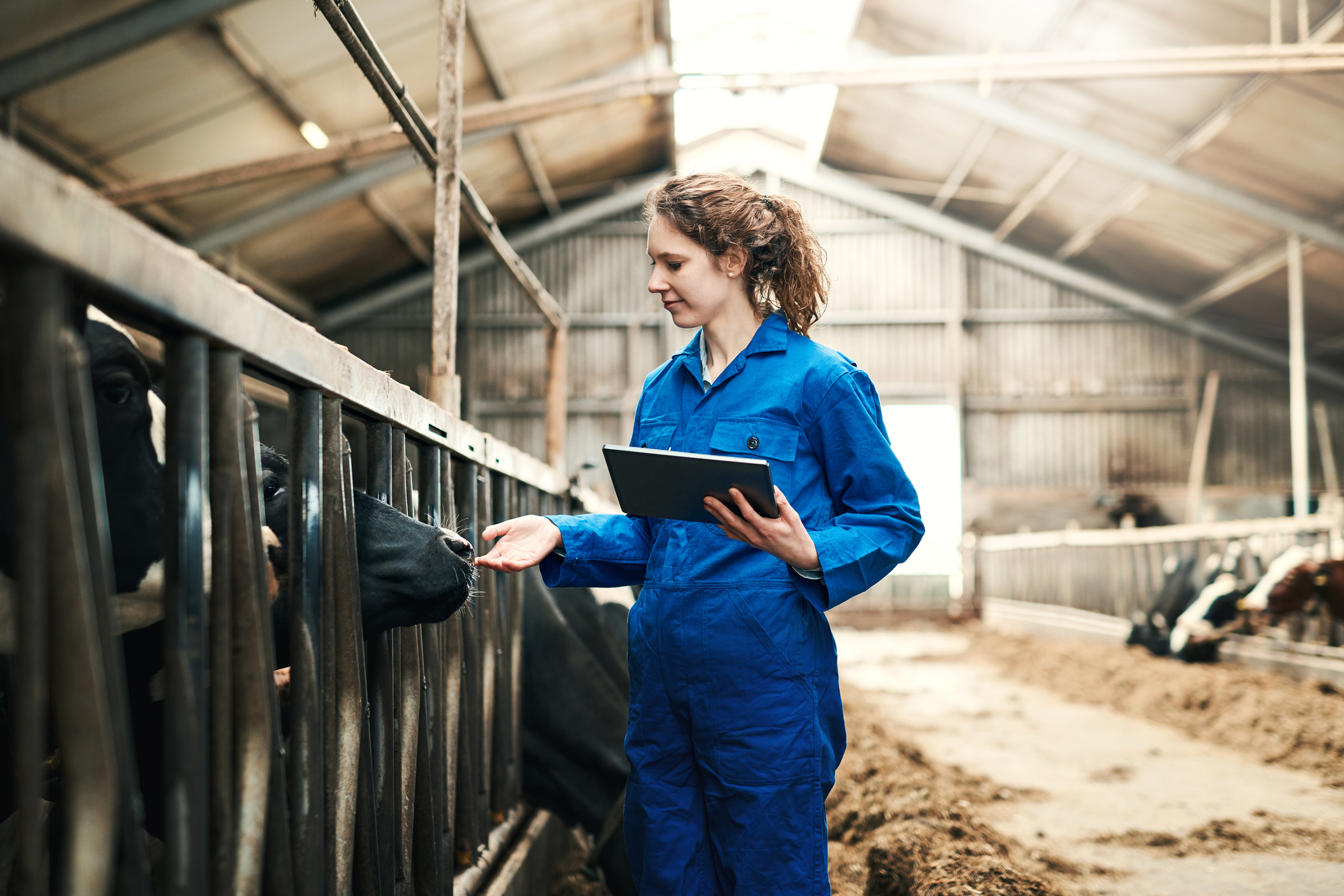Agriculture Management Certificate North Central State College