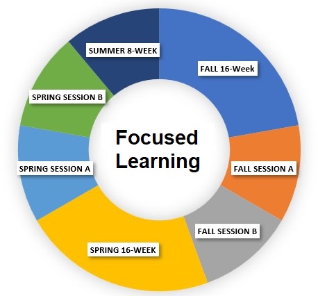 Focused Learning